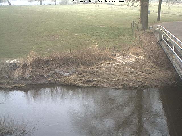 Camera Live Image