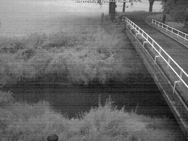 Camera Live Image