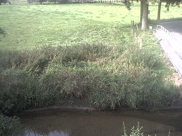 Camera Live Image