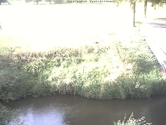 Camera Live Image