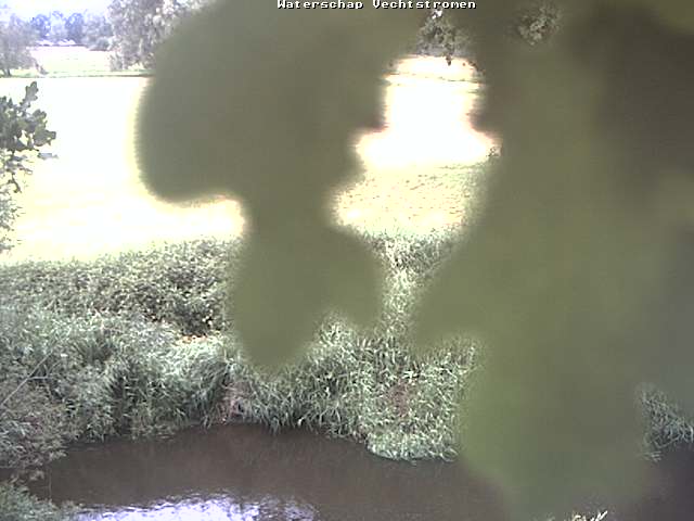 Camera Live Image