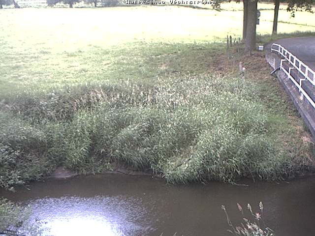 Camera Live Image