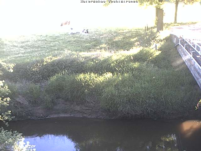 Camera Live Image